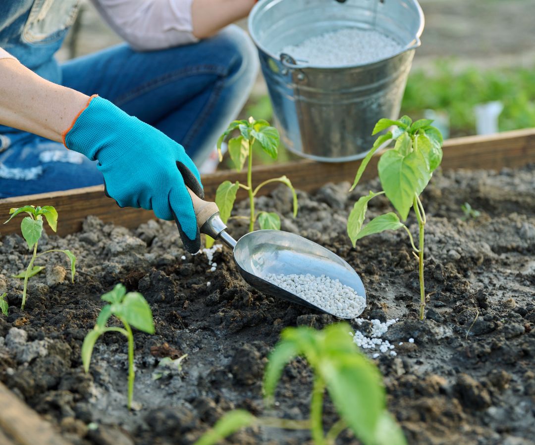 Prime micronutrients for plants