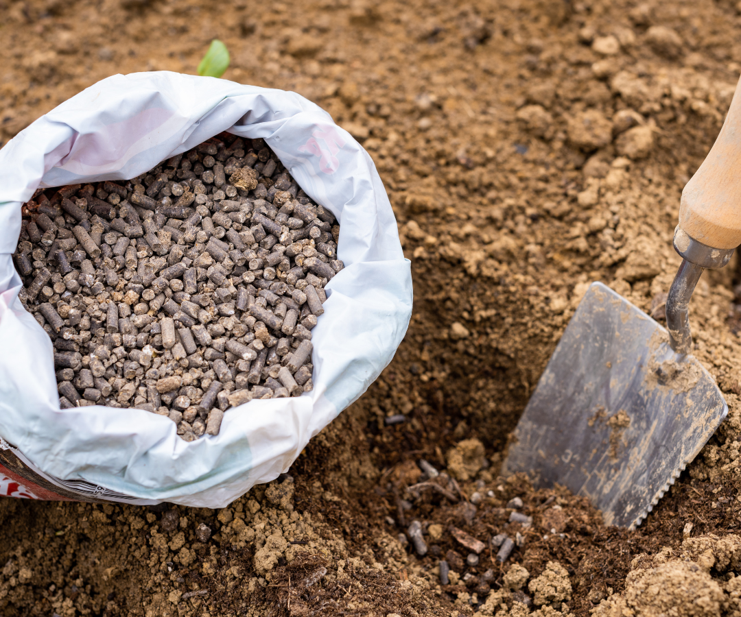 Water Soluble Fertilizer