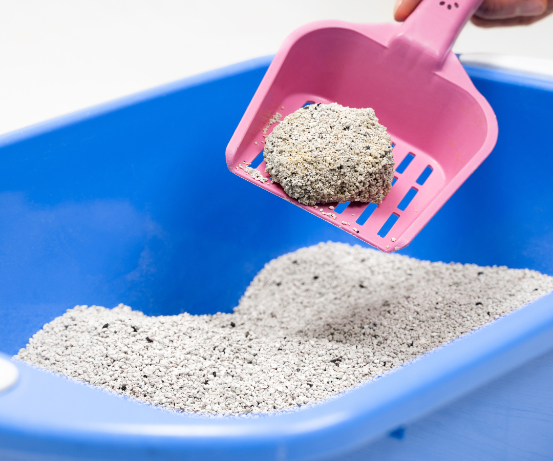 Secondary Plant Nutrients Supplier