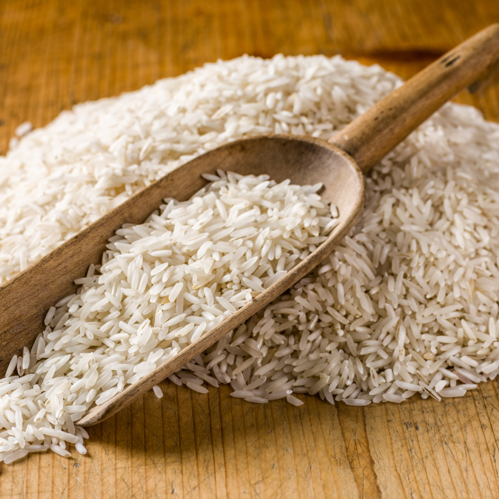Agro Products Exporter in India