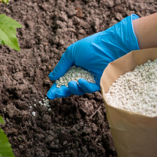 primary nutrients for plants