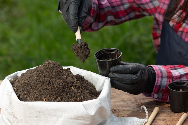 Water Soluble Fertilizer